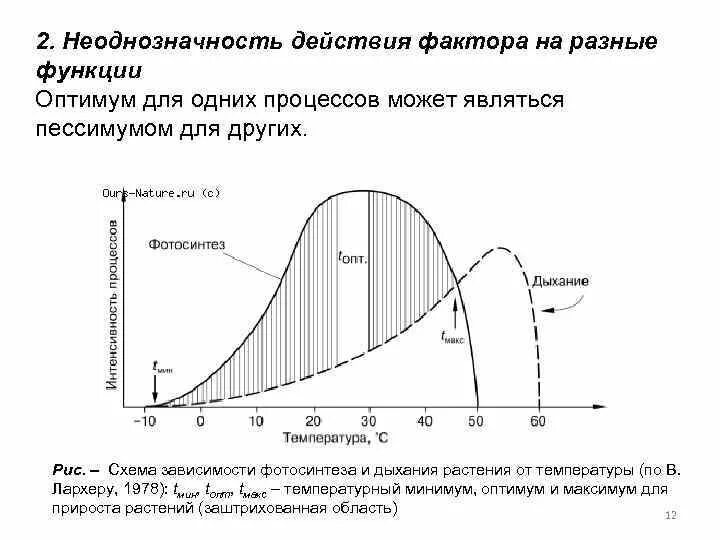 Влияние кислорода на фотосинтез. Фотосинтез достигает оптимума при более низких температурах. Влияние температуры на фотосинтез. Повышение продуктивности фото. Фотосинтез достигает оптимума при более низких температурах.