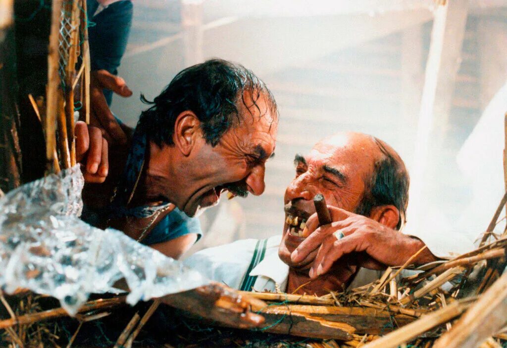 белый кот черный кот кустурица. черная кошка белый кот дадан. черная кошка, белый кот (1998). белый кот черный кот кустурица. эмир кустурица цыгане.