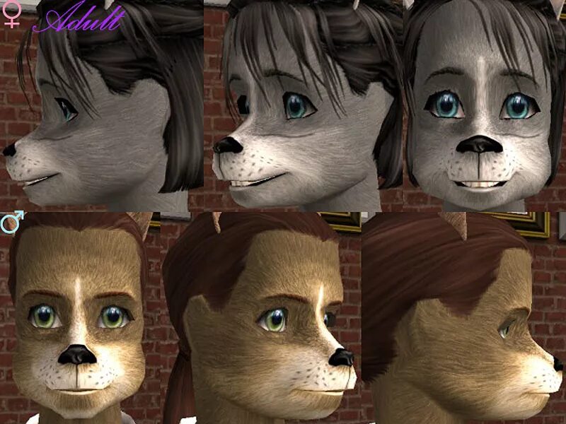 Симс мод на фурри. Sims 3 furry. sims 2 furry. фурри симс. симс 4 фурри мод.