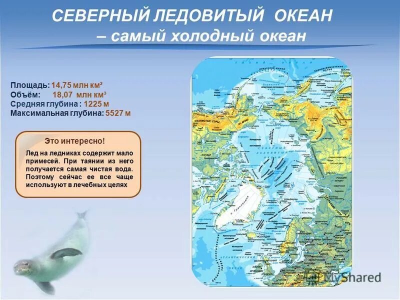 Какой океан самый вытянутый. Какой океан самый вытянутый