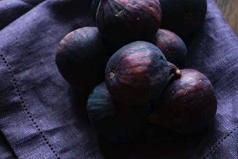 Инжир черный принц описание сорта