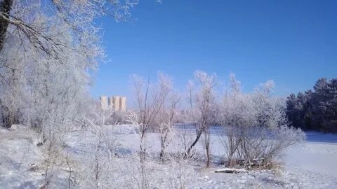 Утро было солнечное безветренное но не