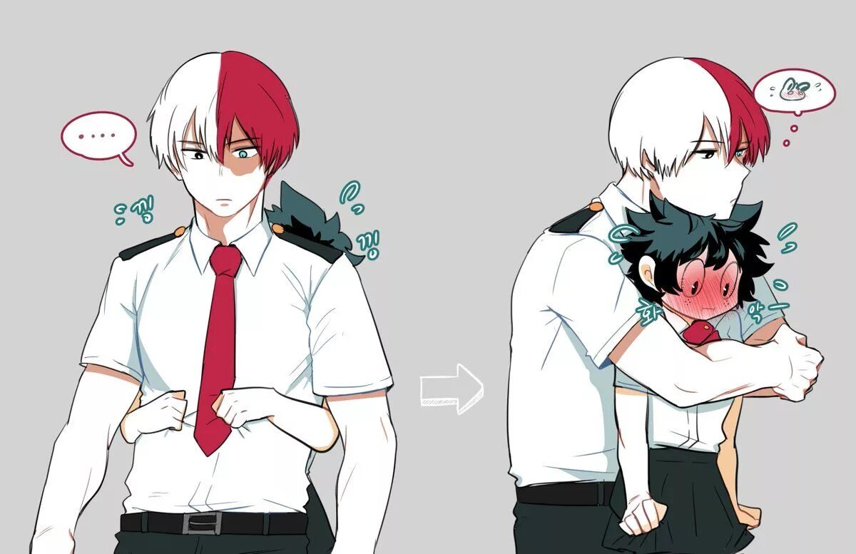 Todoroki reader