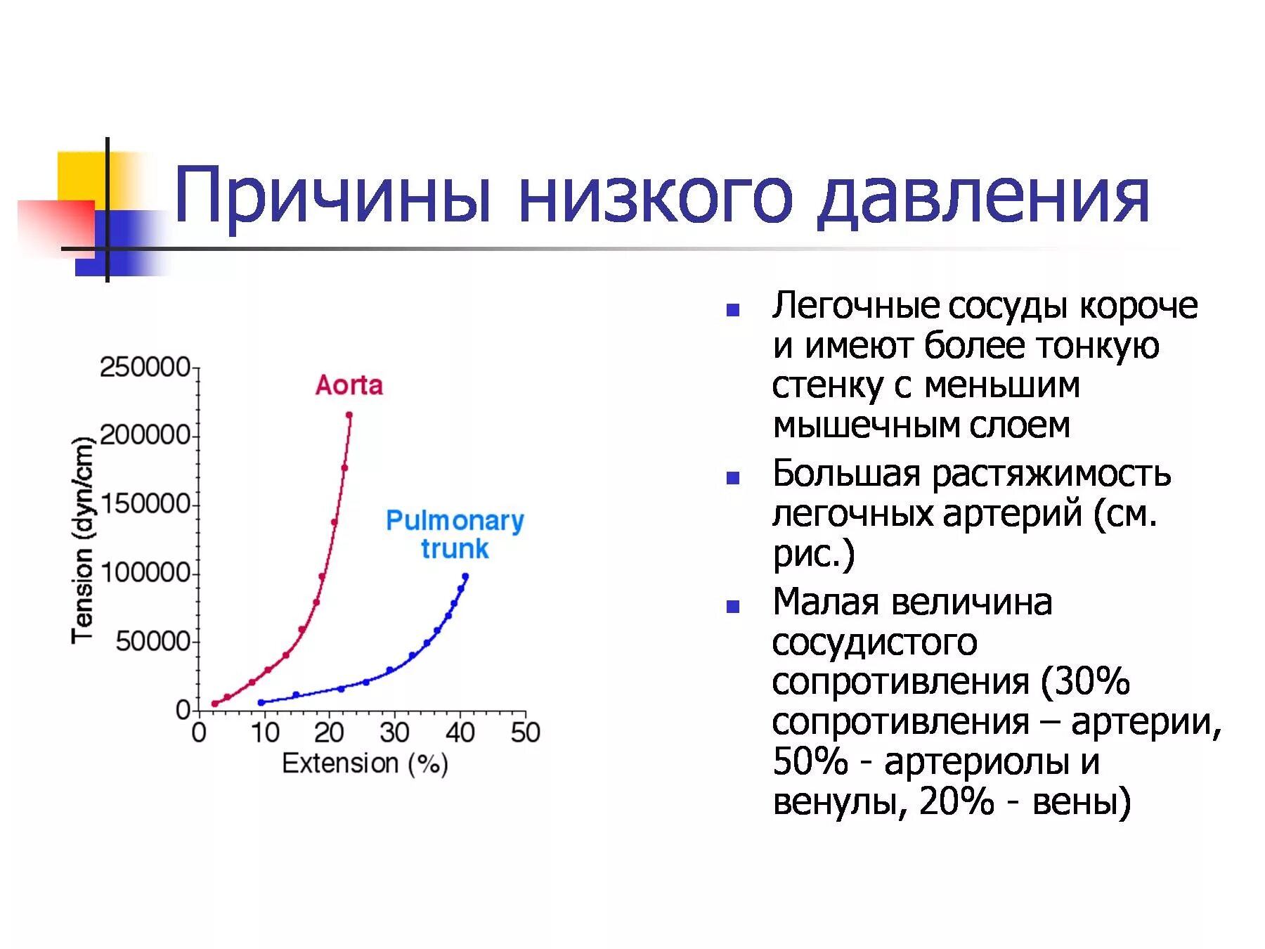 Нижнее давление ниже 60 причины. Низкое давление причины. Пониженное давление причины. Причины пониженного артериального давления. Низкое давление причины у женщин.