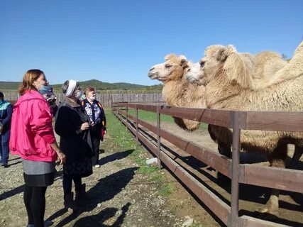 Парк белый лев приморский край