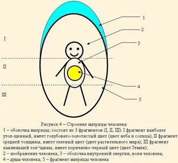Из чего состоит отрывок
