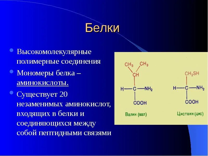 Соединение мономера белка