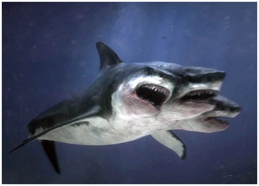 Нападение трехголовой акулы 2015. Двух голавые акулы.