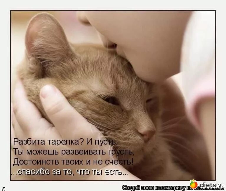Таня самошкина художник. 9 июня день заботы о любимом коте картинки. Котенок на руках. Кошачья нежность. Котенок на ладошке.