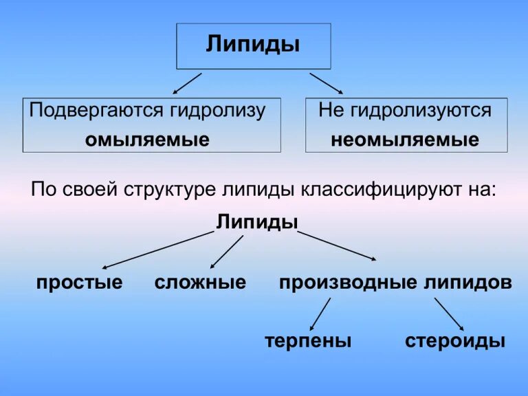 Который по своей структуре