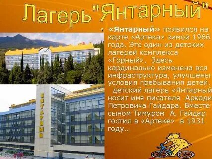 Лагерь янтарный артек