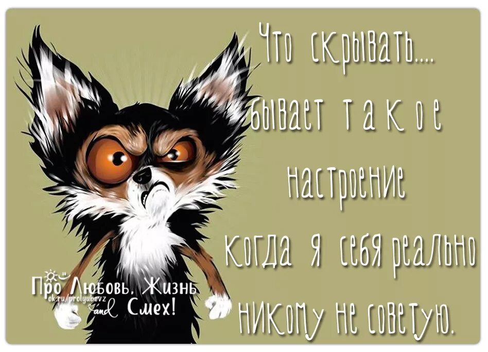 Что такое бывает