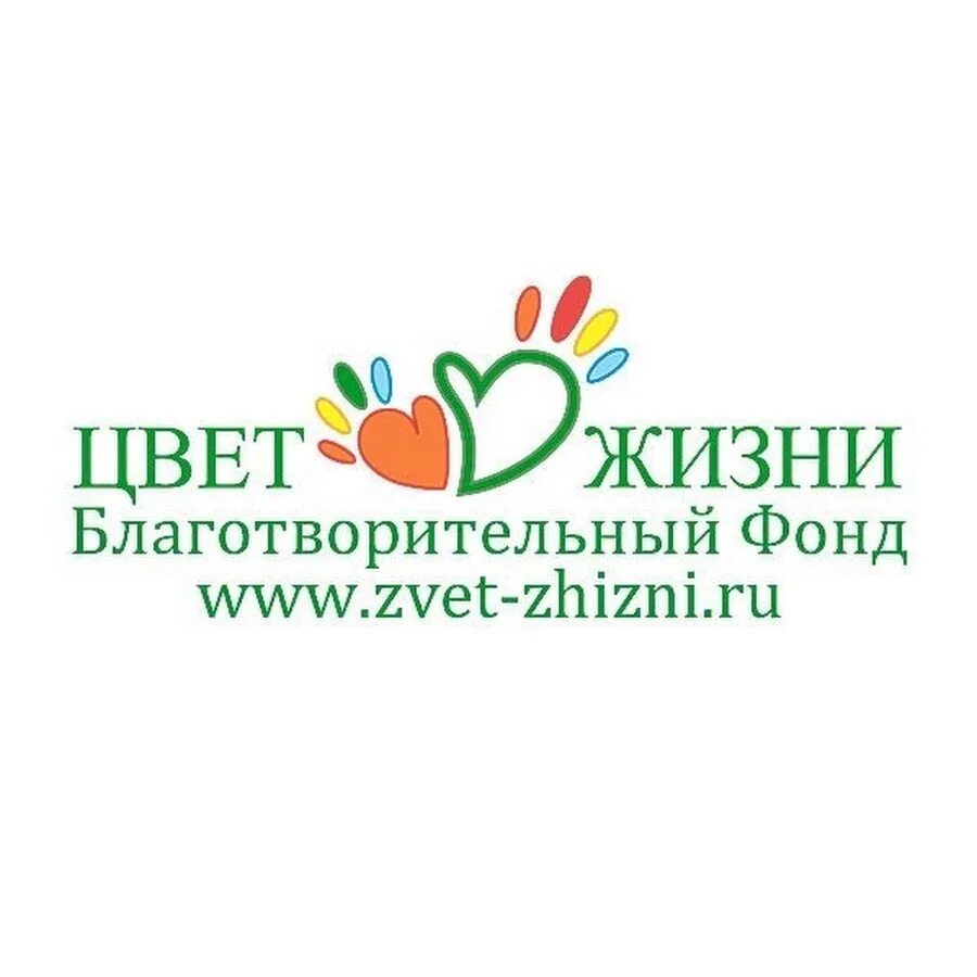Благотворительный фонд доброе сердце. Светлый путь логотип. Блоготворительный фонд. Благотворительный фонд главная. Добрый фонд.