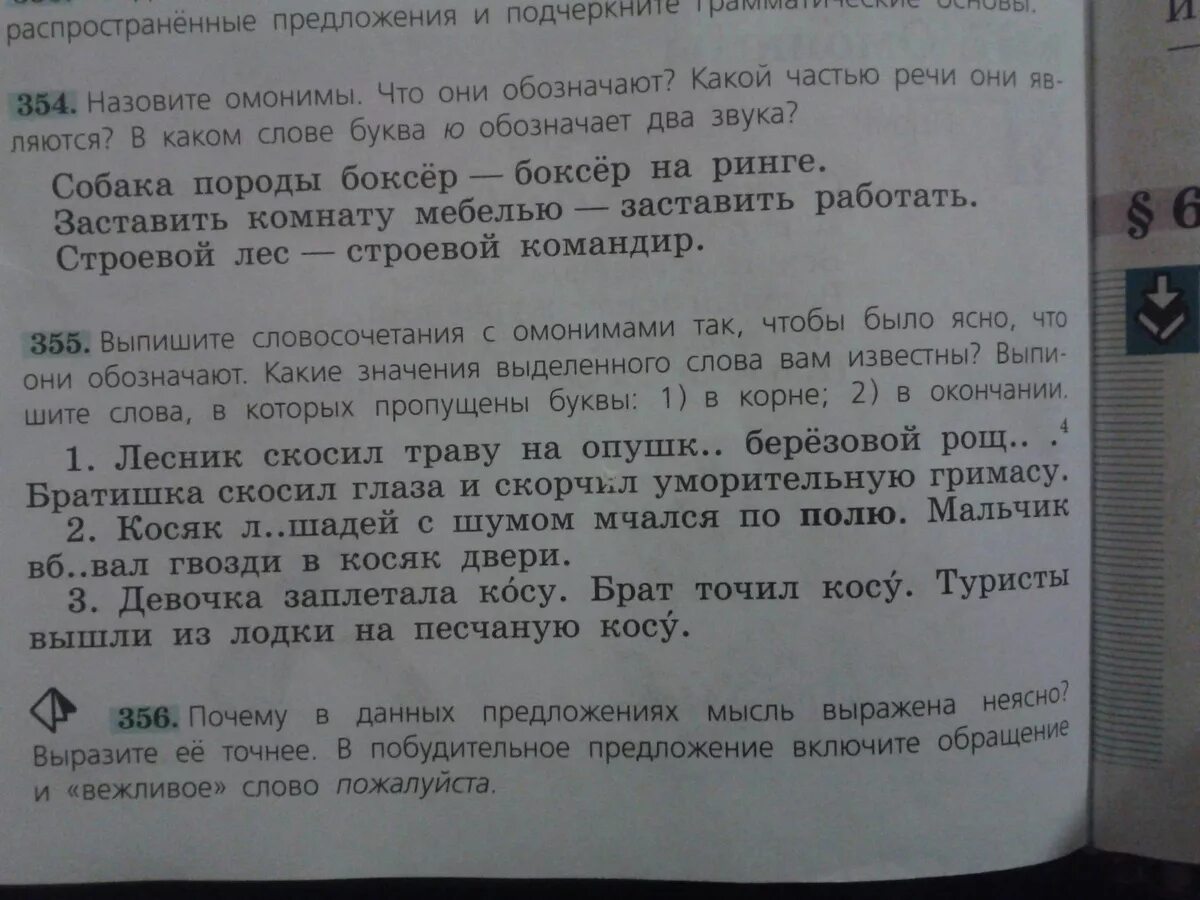 Братишка разбор. Два предложения с омонимами. Составить 2 предложения с омонимами. Предложение с омонимами , скосил глаза. Распространенное поедложениес омонимами.