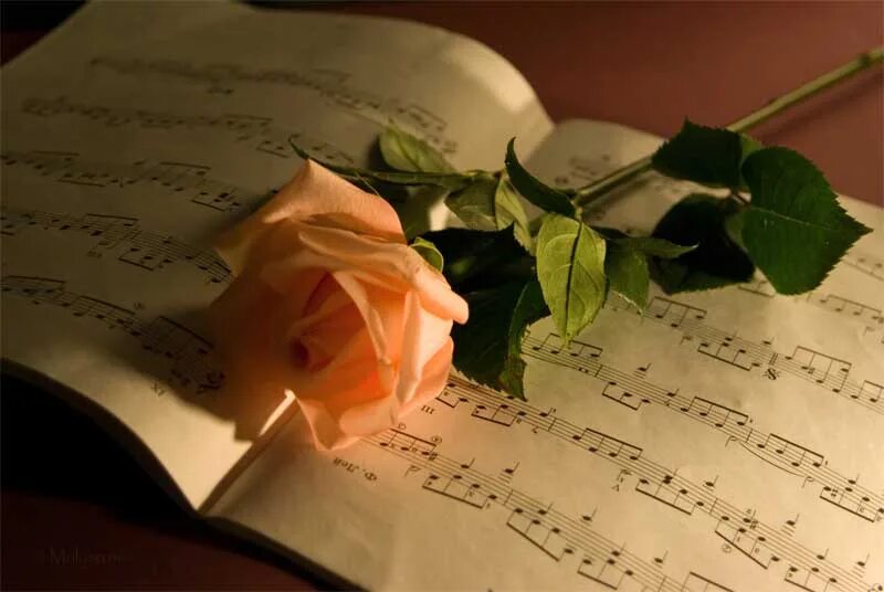 Вечер поэзии. Стихи о Музыке. Поэзия – мелодия души. Красивые слова о Музыке.