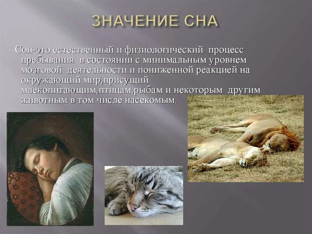 Сон значение. Сон презентация. важность сна. сон в жизни человека презентация. сон важность для организма.