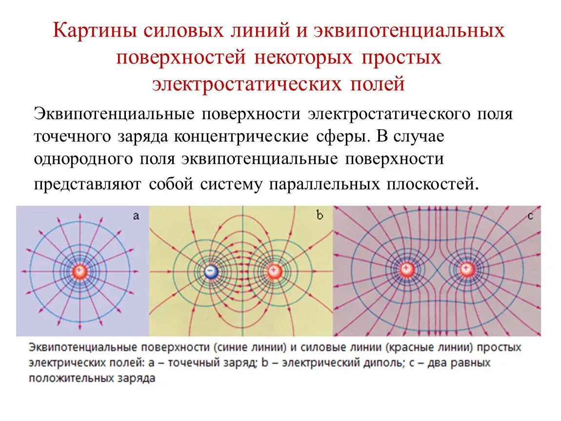 Изобразить линии напряженности и зарядов. Силовые линии напряженности электрического поля. Силовые линии поля точечного заряда. Эквипотенциальные поверхности точечного заряда. Эквипотенциальные поверхности электростатического поля.