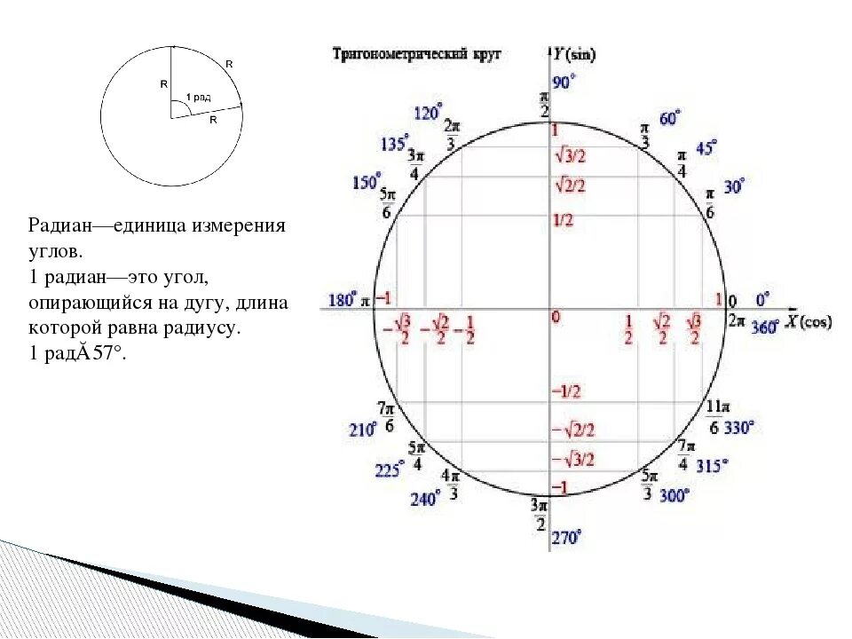 Радиан. Радианы на окружности. 1 Радиан. Радианная мера угла окружность.