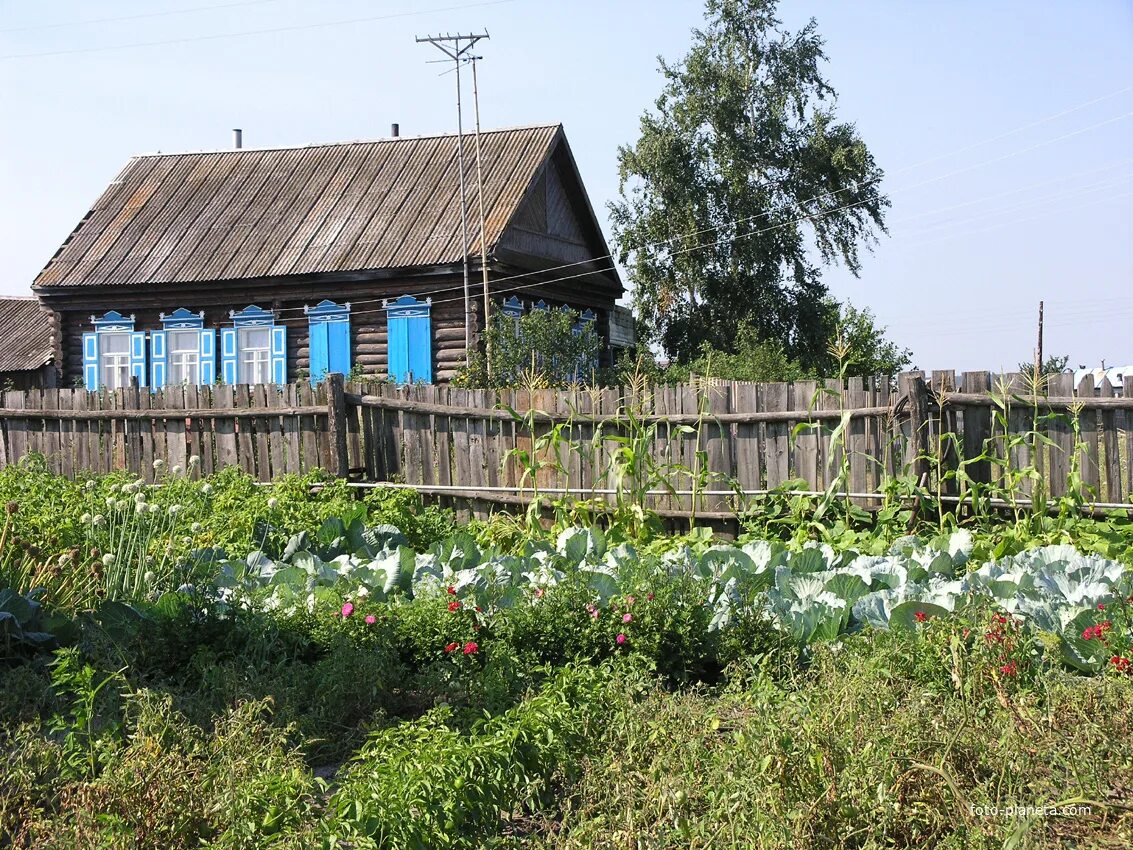 Топорнино Ульяновская область Николаевский район. Село Топорнино Николаевского района Ульяновской области. Поспеловка Николаевский район Ульяновская область. Ульяновская обл Николаевский р-он с Поспеловка. Дом в николаевском районе