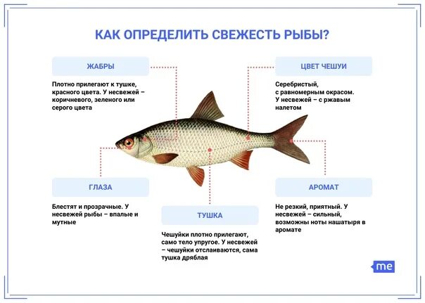 Какая должна быть рыба. Признаки качества рыбы. Как определить свежесть рыбы. Определение свежести рыбы. Качества свежей рыбы.