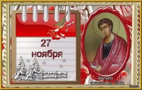 27 ноября день рождения