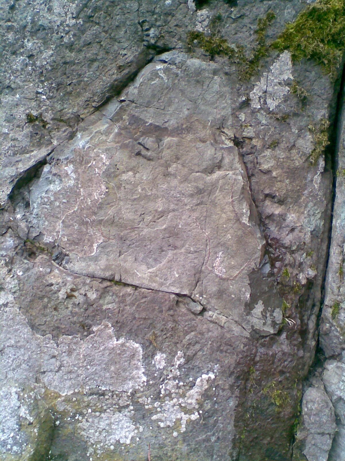 Oyuk. Define. Non defining relative clauses. Define. Define definition.