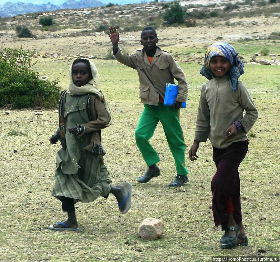 Эритрейцы кто это. Эритрейцы. Эритрея жители. Эритрейцы фото. Эритрея население.