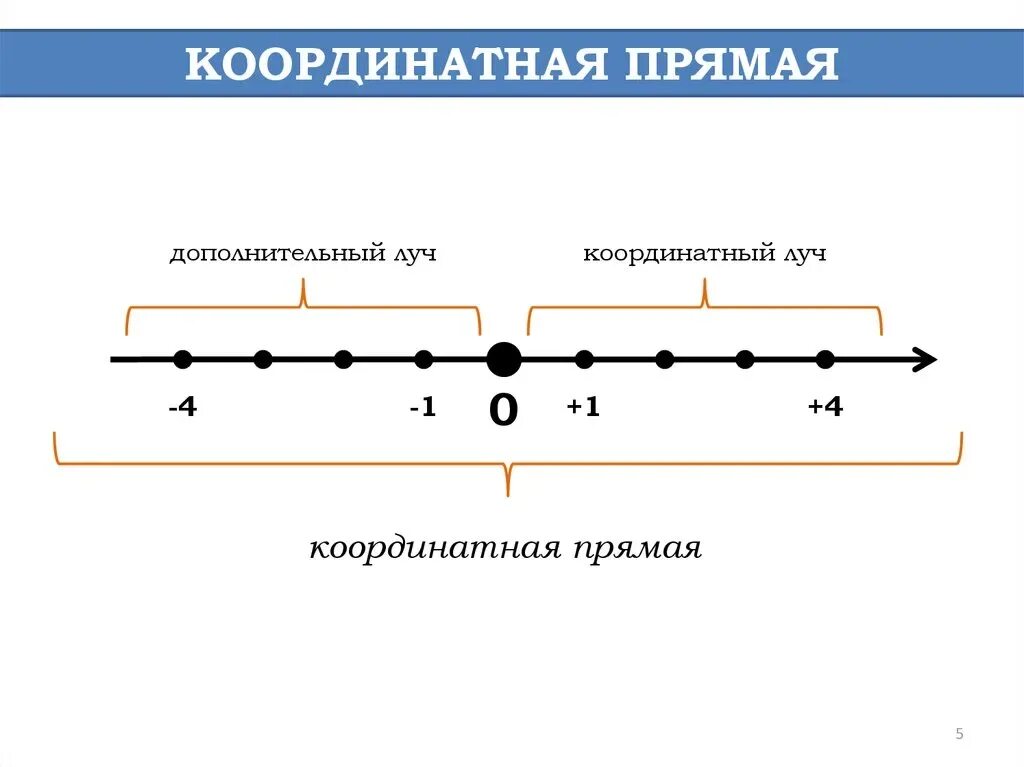 Координатная прямая. Координральная прямая. Луч на координатной прямой. Коорд натная прямая. Модель координатной прямой