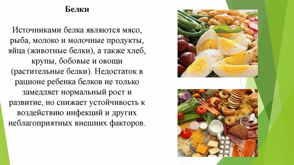 Почему мясо должно присутствовать в рационе. Особенности рациона. Источник кальция в питании детей дошкольного. Почему необходимо включать в рацион животные белки. Введение по проекту рацион питания животных.