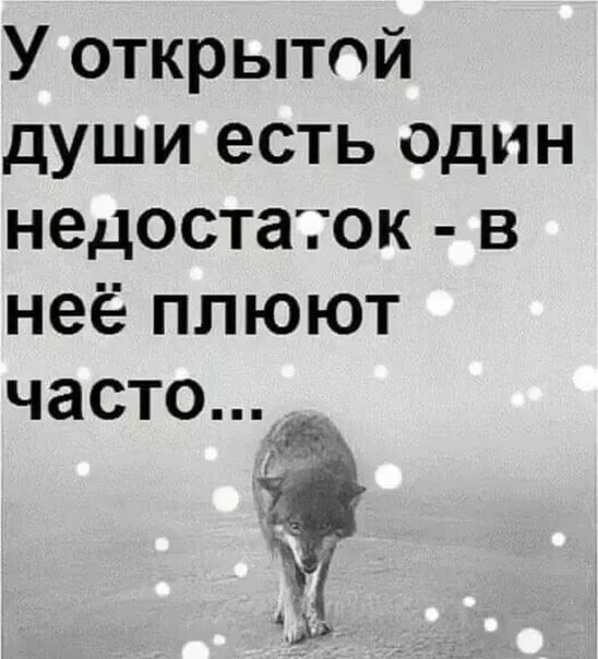 Человек никому не открывается. Плевок в душу цитаты. Цитаты не плюйте в душу. Цитаты про открытую душу. Открытая душа цитаты.