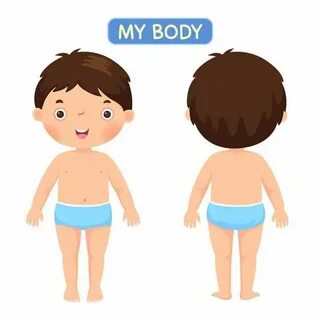 Boy parts