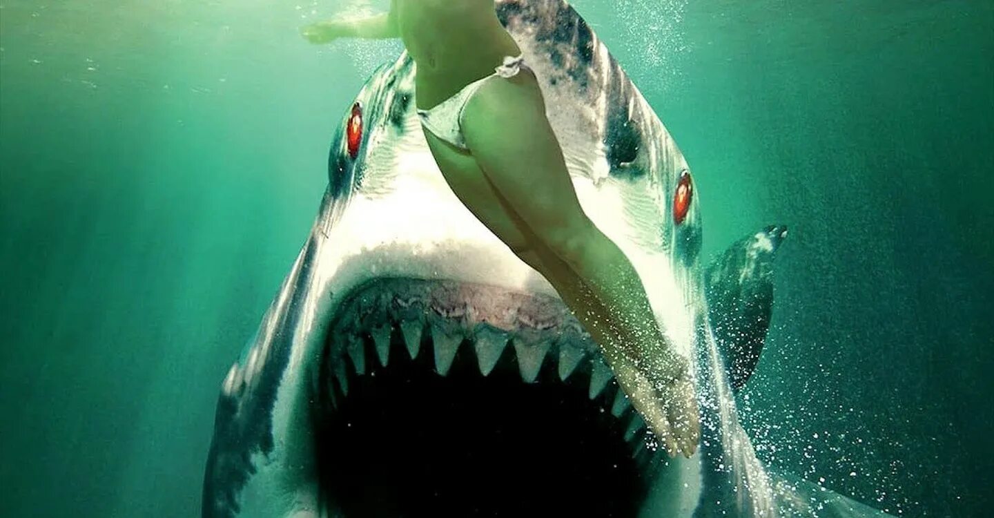 Лучшие новинки про акул. Акула призрак 2013 Ghost Shark.