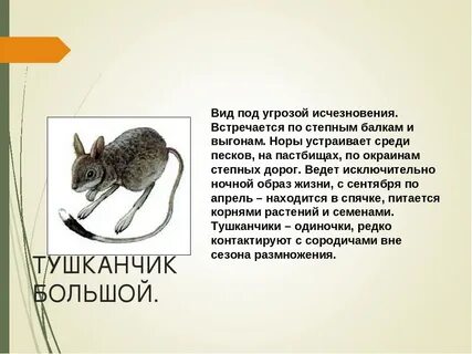 Большой краткое содержание