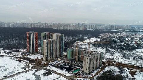 Митино 12