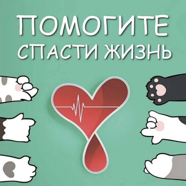 Способ спасти его читать. Помоги спасти жизнь.