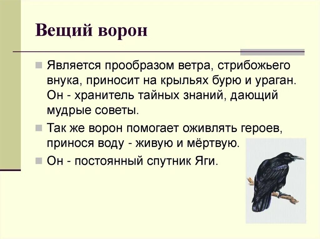 Ворона краткое описание. Рассказ о вороне. Интересные факты о воронах. Легенда о вороне. Почему вороны каркают ночью