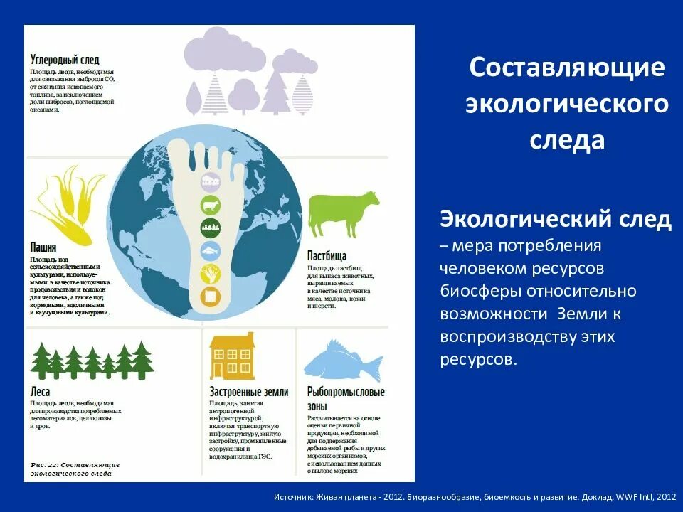 Экологический след человека. Составляющие экологического следа. Глобальный экологический след. Концепция экологического следа. Эколог след