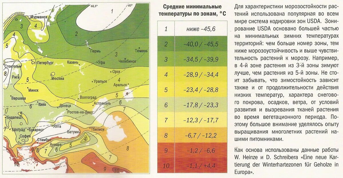 В какой растительной зоне коэффициент. Зоны зимостойкости растений России по областям. Карта зон зимостойкости России. Климатическая зона 4 в России для растений. 4 Зона морозостойкости в России.