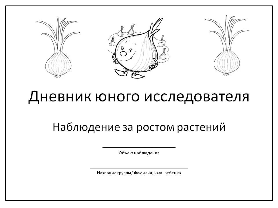 Дневник наблюдения за луком в детском. Журнал наблюдения за растениями в детском саду.