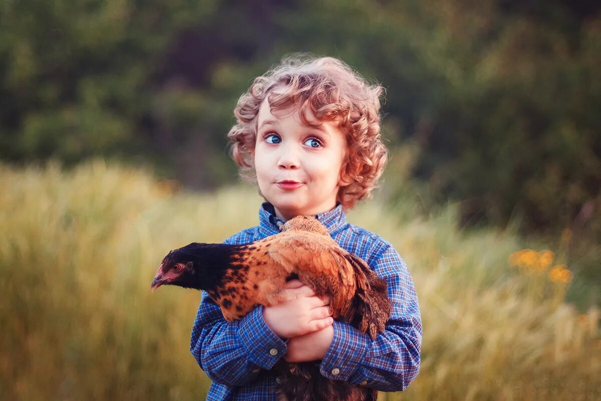 курами девочки