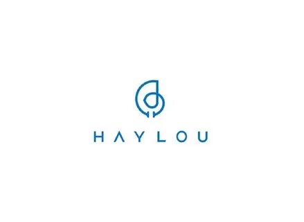 Haylou ls02