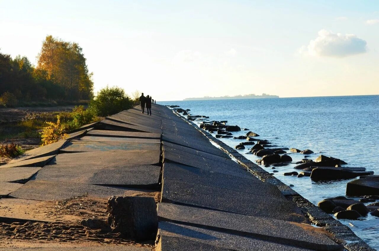 Бетонная набережная. Парк Дубки в Сестрорецке. Парки Дубки Сестрорецк. Парк Дубки финский залив. Сестрорецк набережная финского залива.