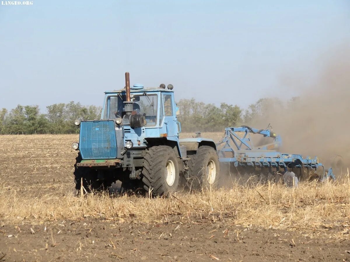 Алтай т4а пахота. Т-150 трактор гусеничные тракторы. В работе трактор т. Трактор т 150 культивация. В работе трактор т.