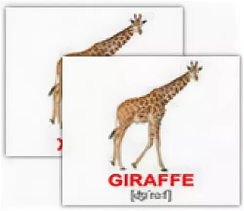 Giraffe транскрипция и перевод