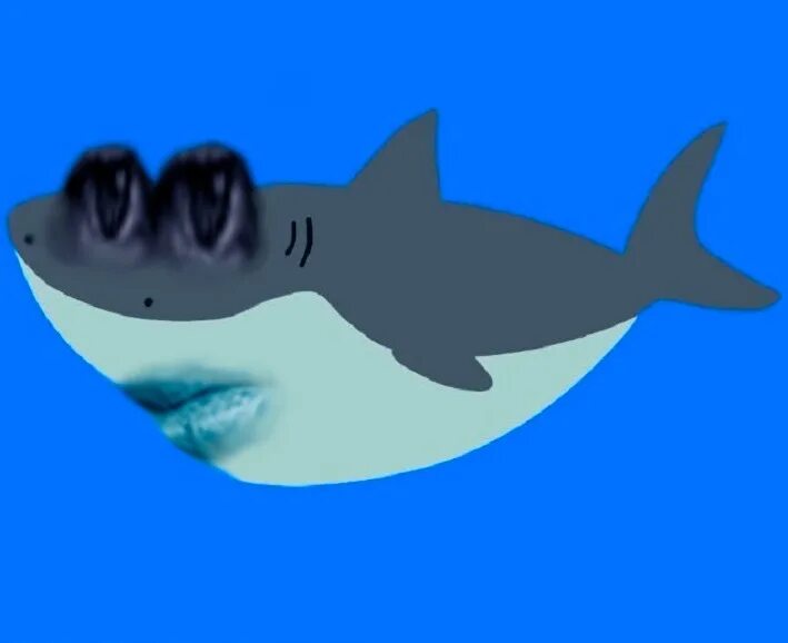 Акуленок туруруруру. Акуленок туруту. ВАЛАКАС акула. Глад ВАЛАКАС акула. Я акула туруруру