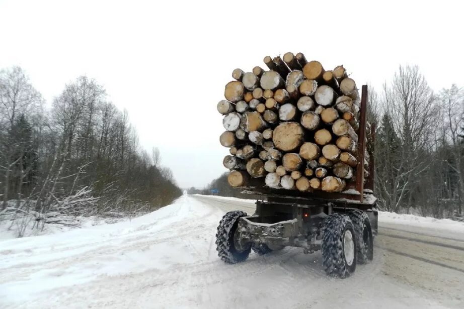 Лесовоз ГАЗ 131 С дровами. Тром 20 лесовоз. КАМАЗ дрова 20 кубов. Машина на дровах.