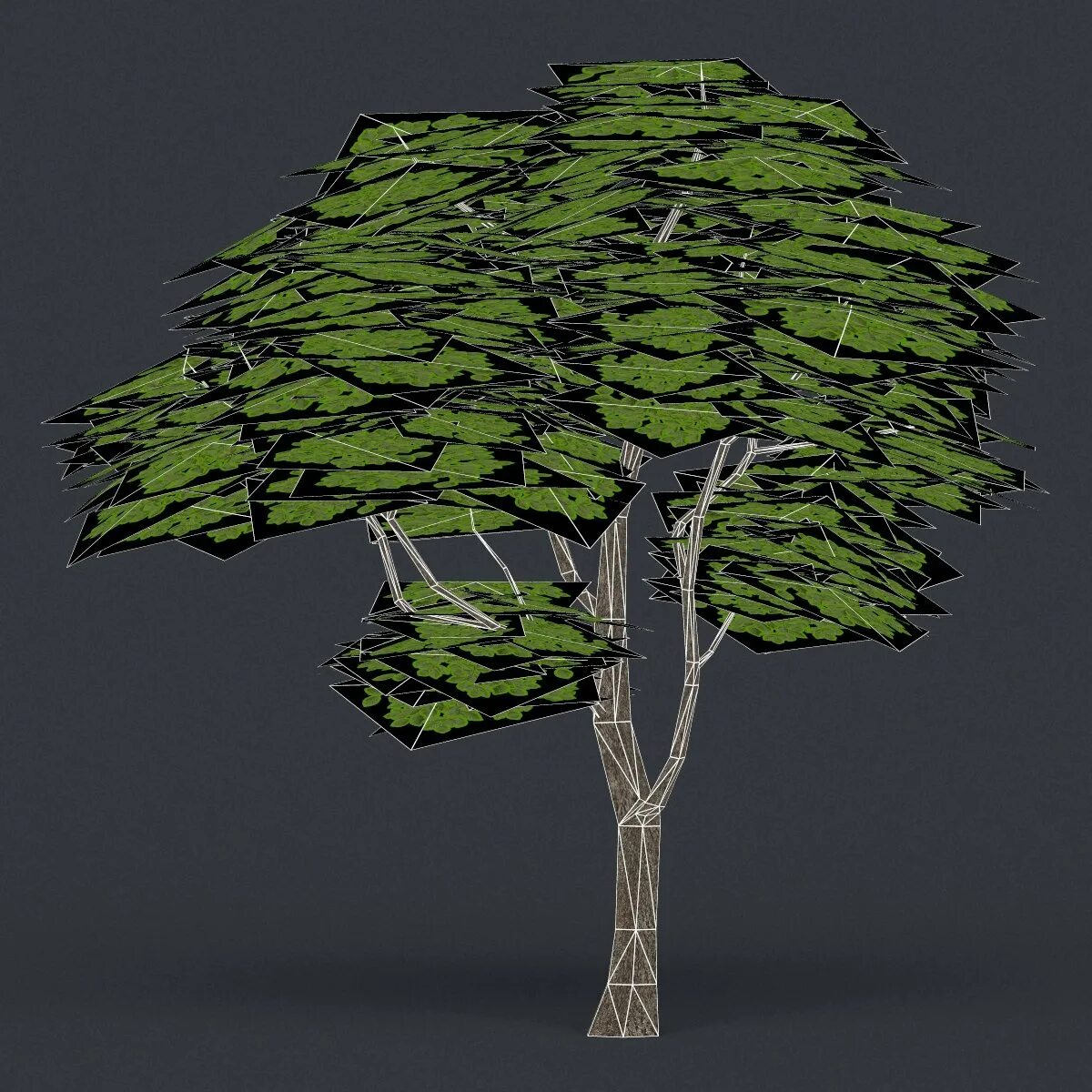 Low tree. Бертолетия дерево low poly. low poly tree 3d model. лоу поли деревья 3д модели. декоративное дерево 3д модель.