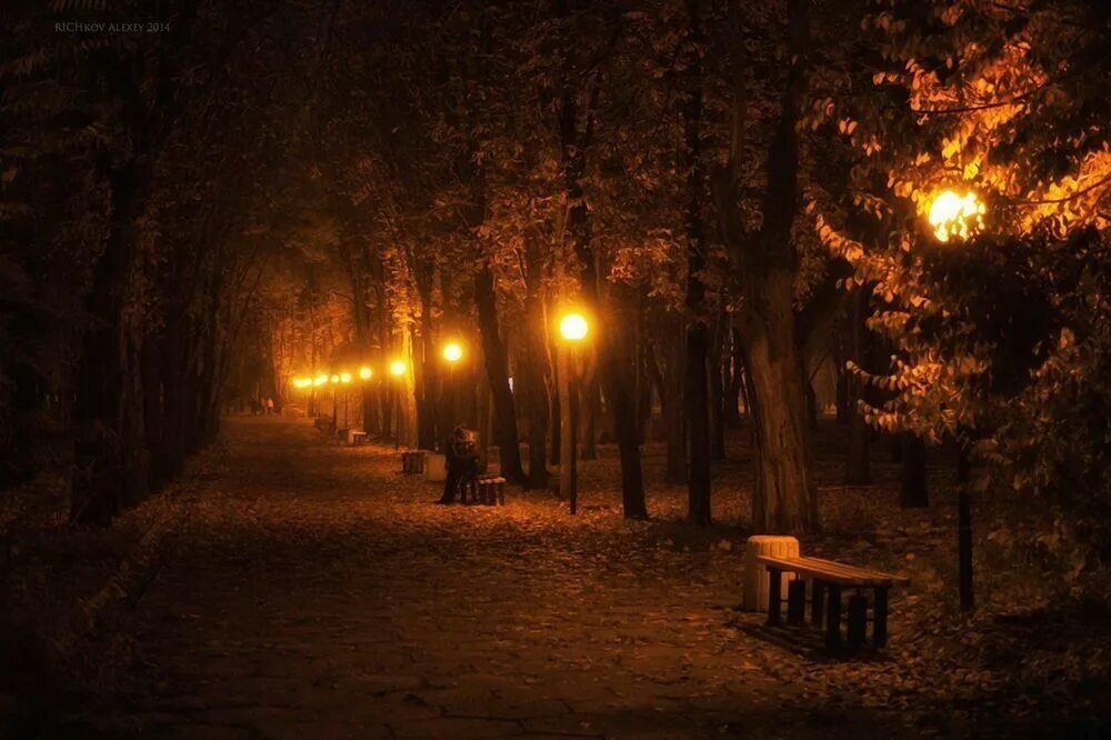 Осенний парк вечером. Осень парк ночь. Осень вечер парк. Осенняя ночь в городе.