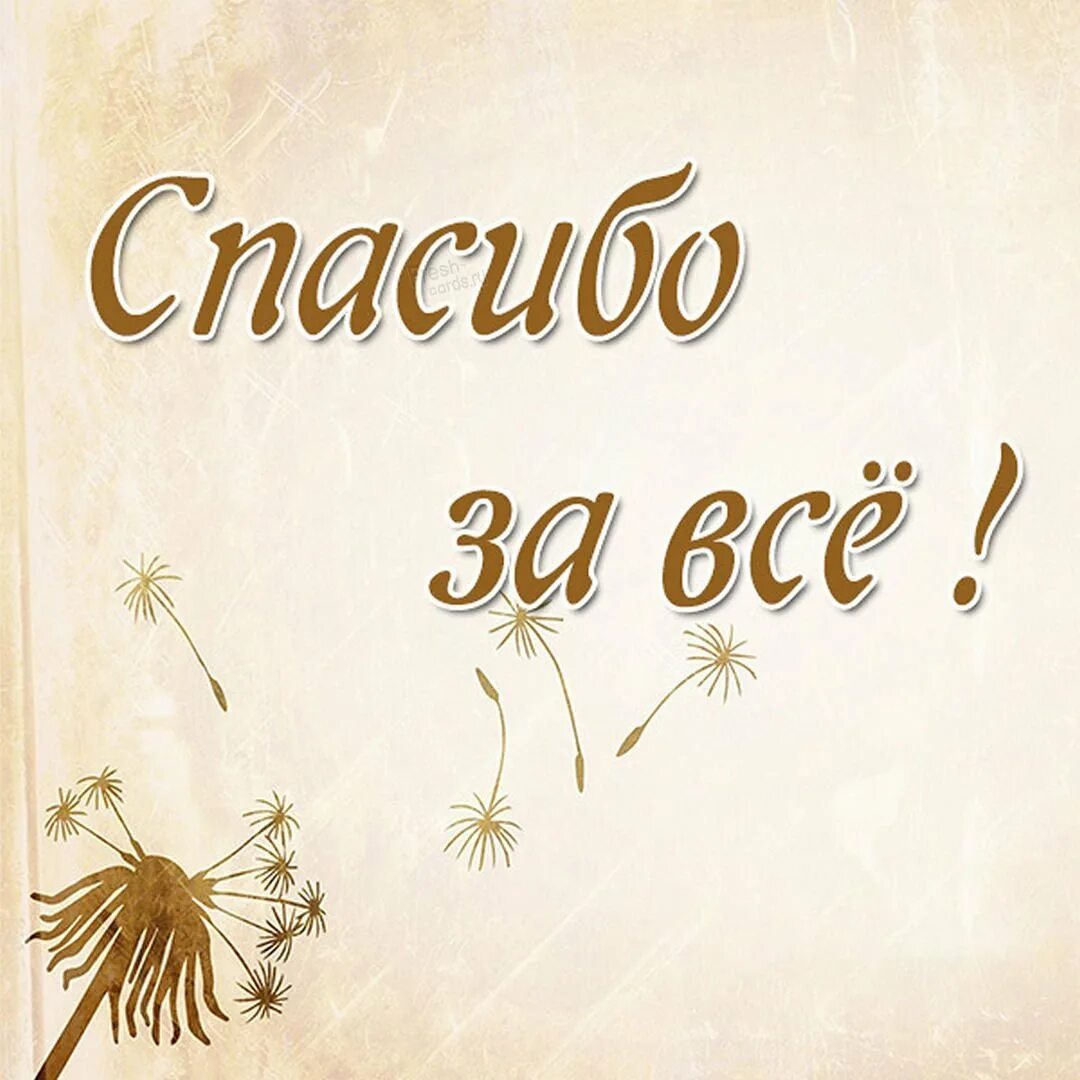 Спасибо за все. Spasibo za vsyo. Спасибо тебе за все. За все благодарите.