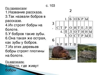 Болото сканворд